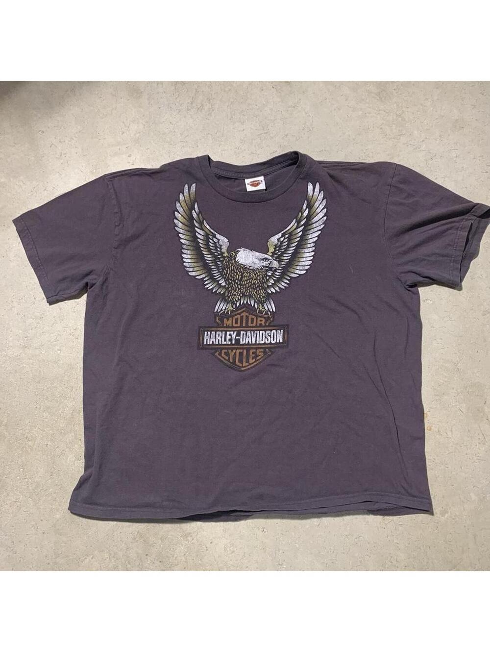 Vintage Y2K Harley-Davidson Mother Road Route 66 Eagle T Shirt Mens 3XL